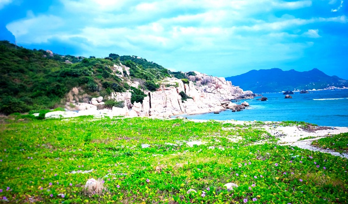 Bãi Chướng
