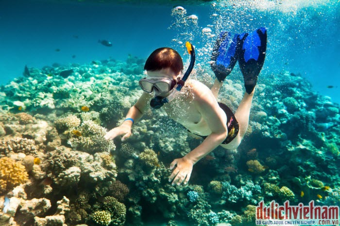 Lặn biển ngắm san hô Nha Trang