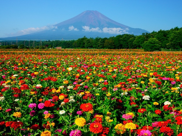 Hananomiya-Park