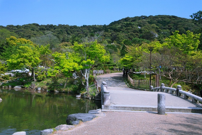 Công viên Maruyama nơi ngắm nhìn những cây hoa anh đào khoe sắc Maruyama - công viên cổ ở Kyoto