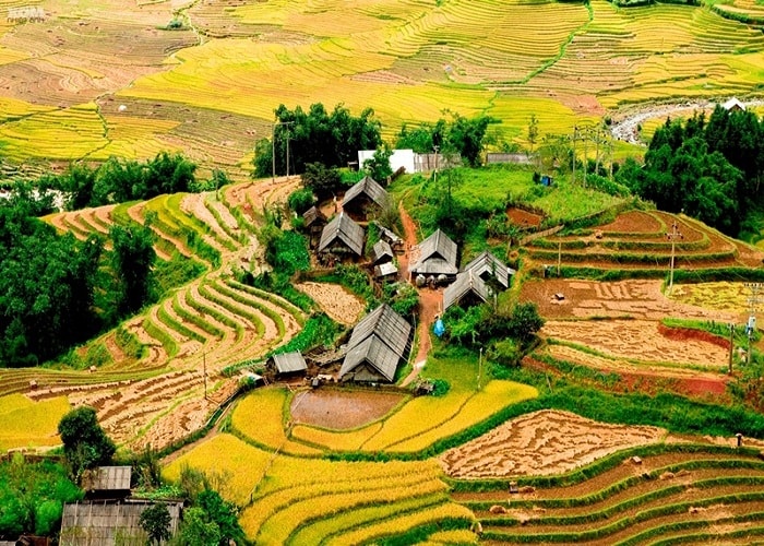 Bản Tả Phìn gần thung lũng Hoa Hồng