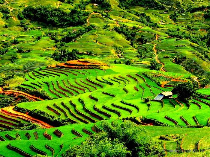 Vẻ đẹp quyến rũ của Sapa trong giai đoạn tháng 6,7,8
