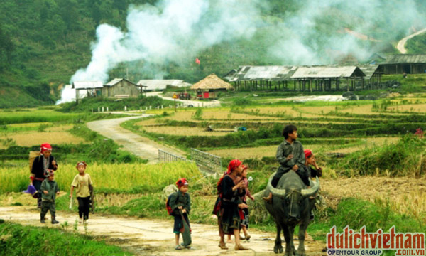Tả Phìn Sapa