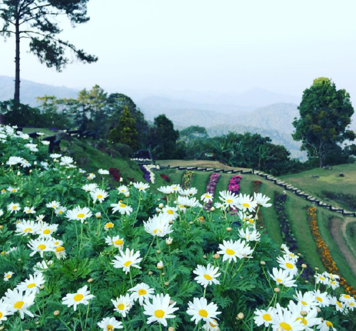 du lịch Chiang Mai