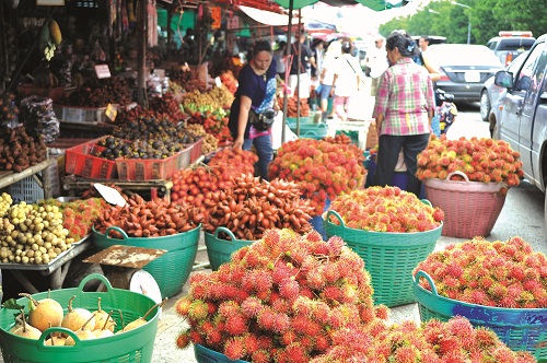 Mùa vàng cùng trái cây Rayong Mùa vàng cùng trái cây Rayong