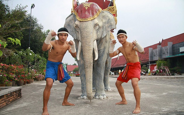 Võ đài Muay Thai