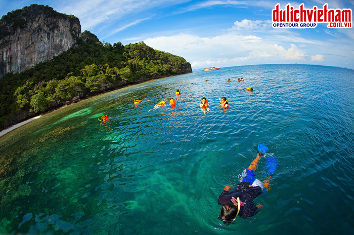 Lặn ngắm san hô vịnh Phang Nga