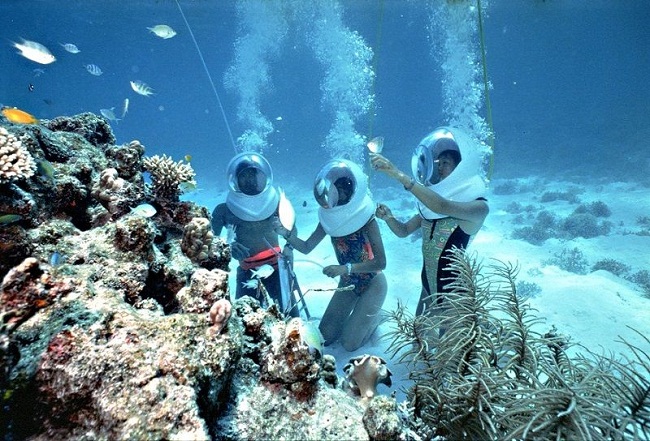 Lặn ngắm san hô dưới đáy Coral 