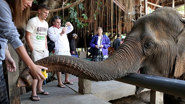 Công viên Voi chiang mai