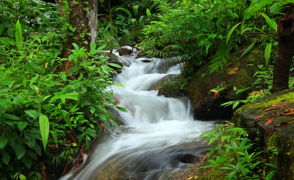Doi Inthanon