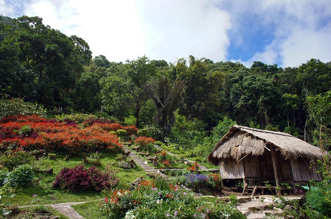 Làng dân tộc Hmong
