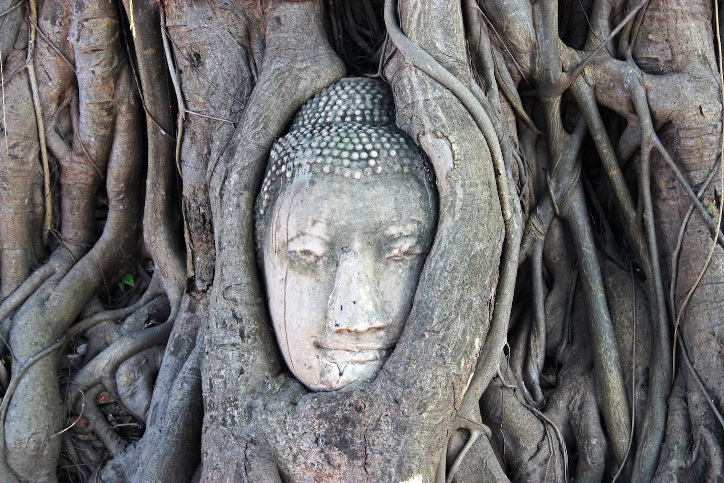 Chùa Wat Mahathat