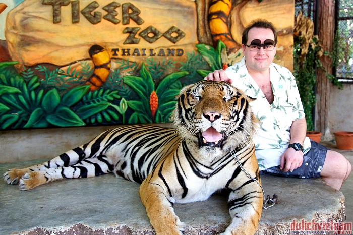 công viên Tiger Zoo công viên Tiger Zoo