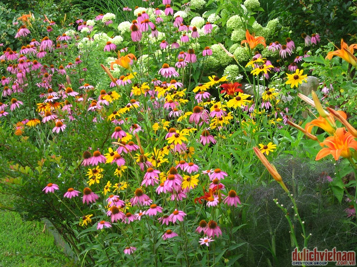 butterfly-garden