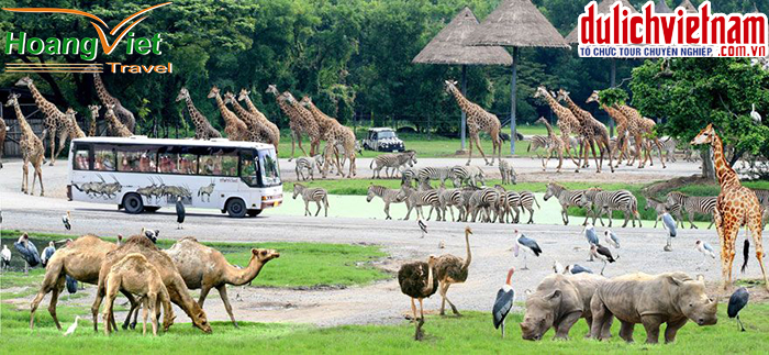 Safari world