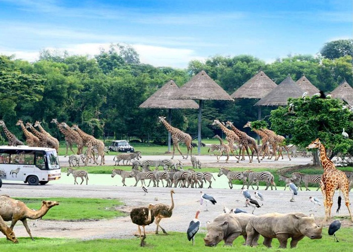 Vườn thú lộ thiên Safari World Vườn thú lộ thiên Safari World