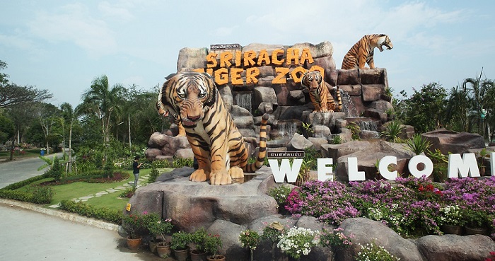 Trại Hổ Tiger Zoo Trại Hổ Tiger Zoo