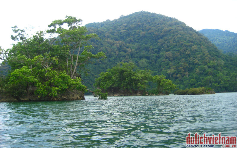 Đảo Bà Góa