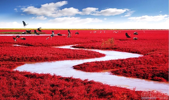 Red Beach Red Beach