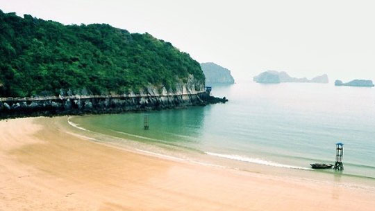 Đảo Cát Bà