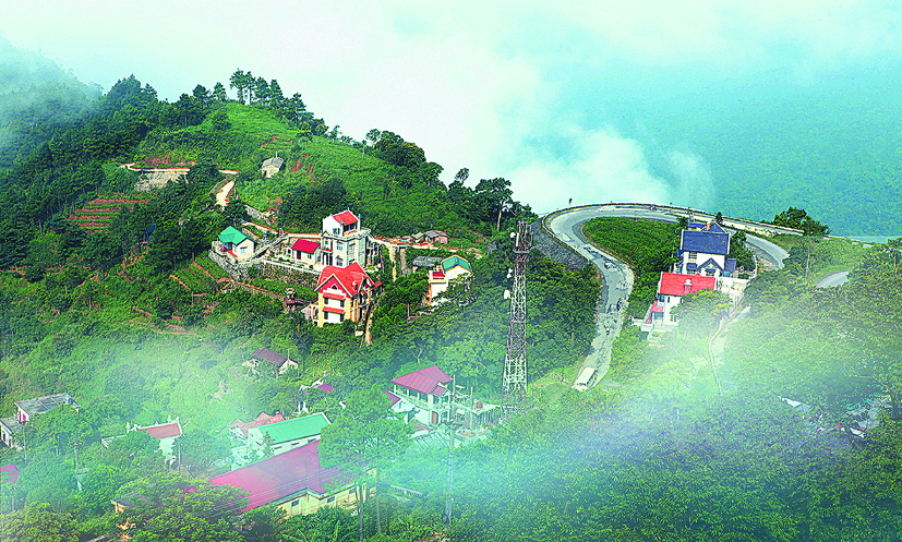 Tam Đảo Vĩnh Phúc
