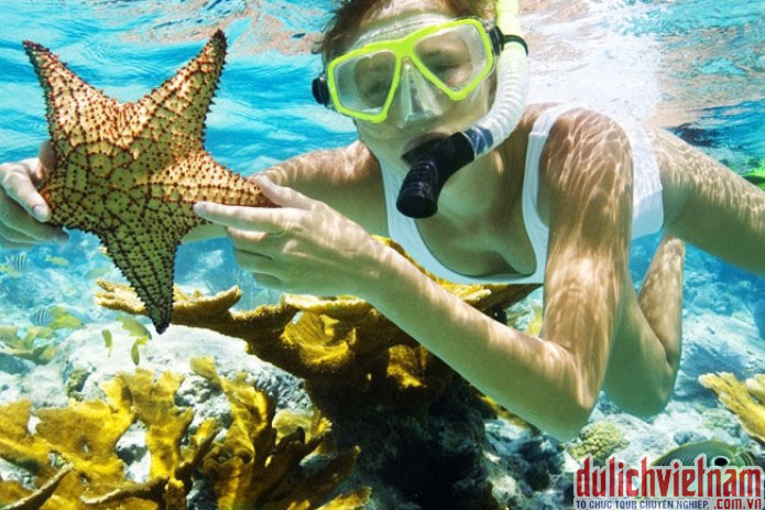 Đảo KohRong Đảo KohRong