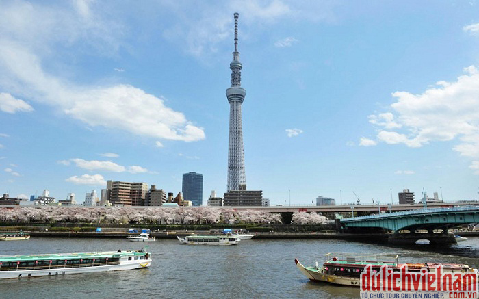 Tháp truyền hình Tokyo