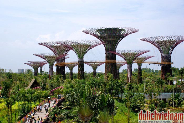 Du lịch Singapore - Vườn Garden By The Bay