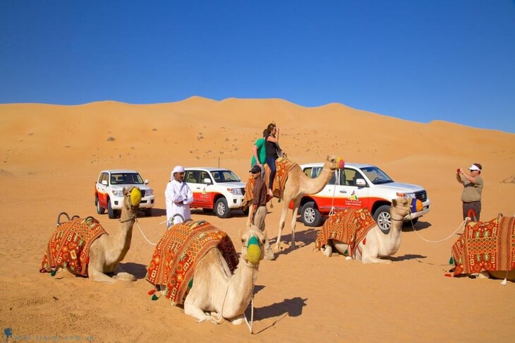 Safari