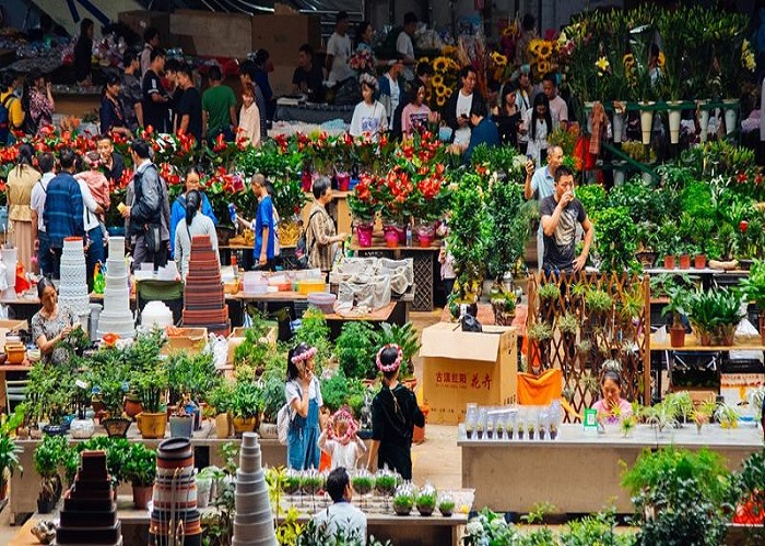 Chợ hoa Đấu Nam 