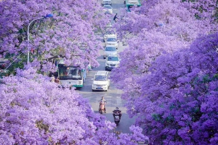Du Lịch Trung Quốc: Hà Nội - Hà Khẩu - Côn Minh - Đại Lý 5 Ngày Đi Ô Tô + Tàu Cao Tốc