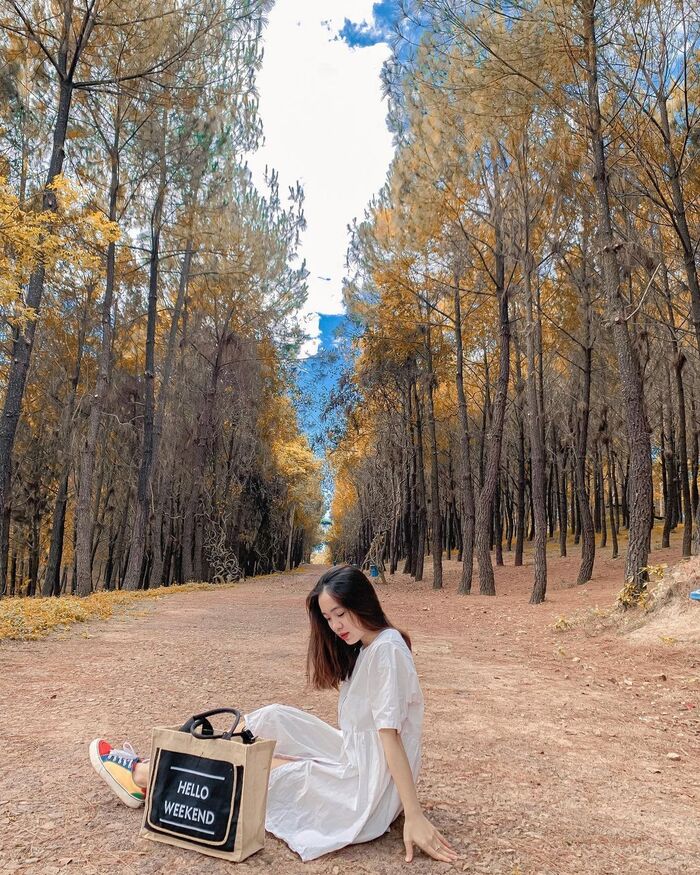 Chiêm ngưỡng dòng sông Hương thơ mộng từ trên cao tại khu vực đồi Vọng Cảnh