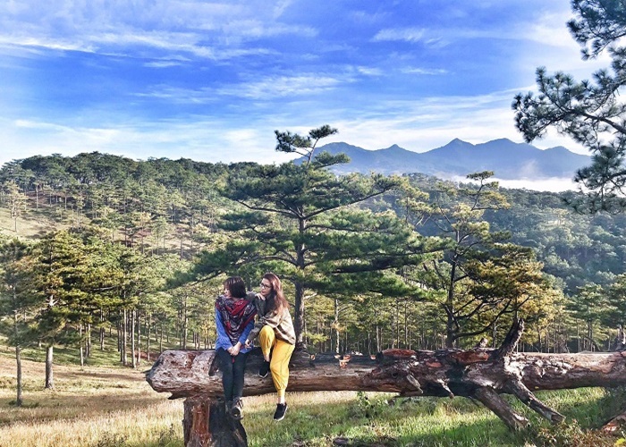 Thung lũng vàng Đà Lạt