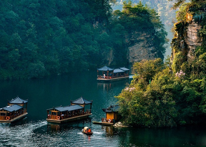 Hồ Bảo Phong