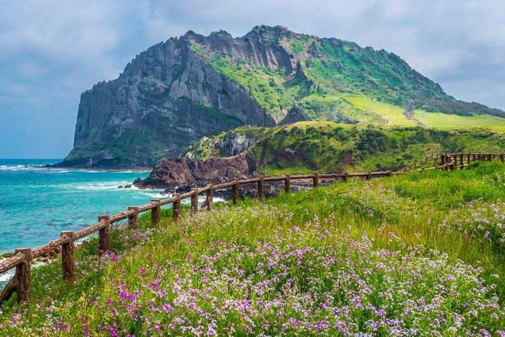 Du Lịch Hàn Quốc: Hà Nội - Seoul - Jeju - Nami - Camellia Hill - Du Thuyền Sanbangsan - Thư Viện Sách 6 Ngày Bay Asiana Airlines 