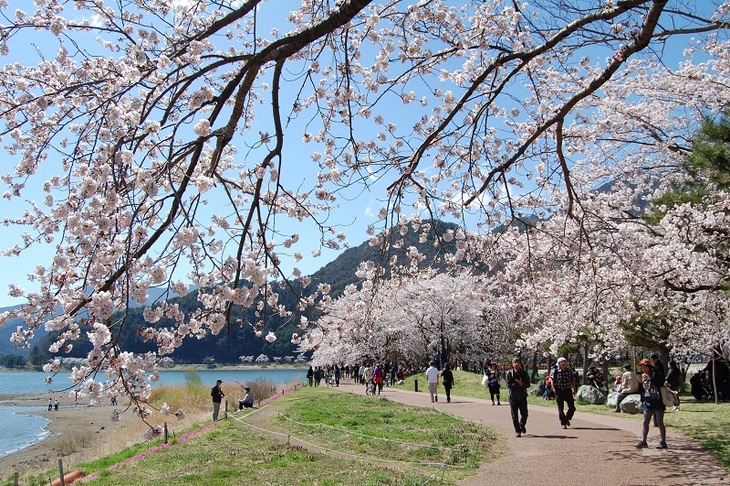 Du Lịch Nhật Bản: Hà Nội - Tokyo - Fuji.Mt - Nagoya - Kyoto - Osaka 6 Ngày Bay  All Nippon Airways