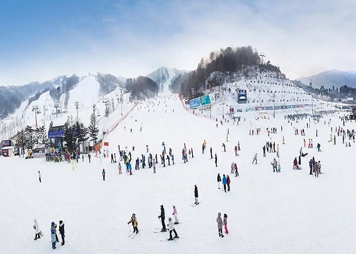 Trải nghiệm trượt tuyết tại Niseko