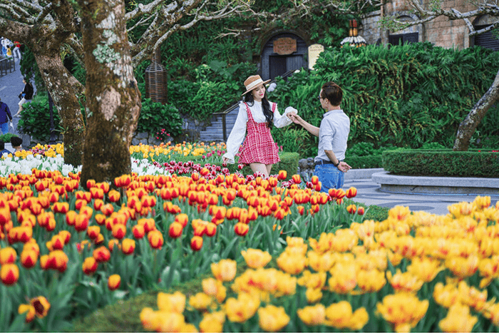Tour Đà Nẵng 4N3Đ: HCM - Đà Nẵng - Bà Nà - Hội An - Huế - Quảng Bình 4N3Đ + KS 4*, tiết kiệm, ưu đãi
