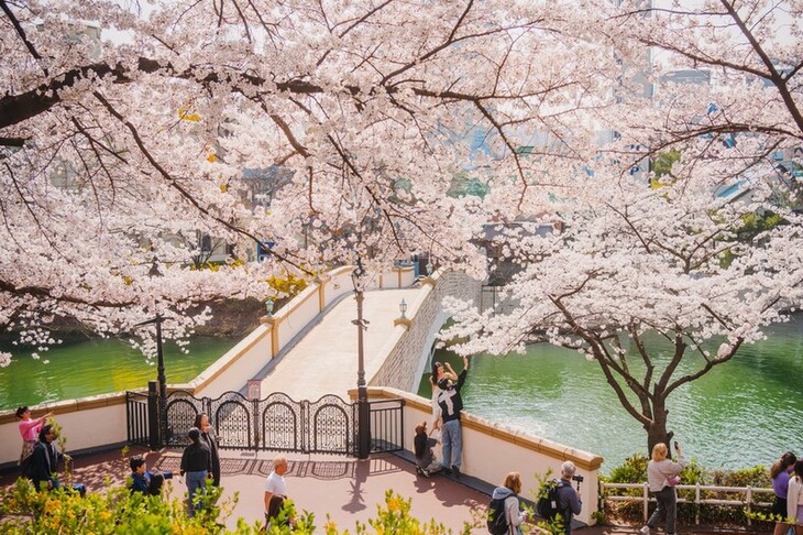 Du Lịch Hàn Quốc: Hà Nội - Busan - Gyeongju - Seoul - Đảo Nami - Tàu Điện - Ngắm Hoa Anh Đào 6 Ngày Bay Vietnam Airlines 