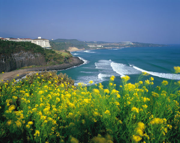 oc dao jeju