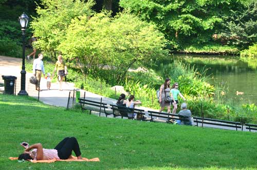 Lá phổi xanh của thành phố Newyork
