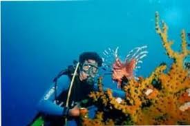 Lặn biển Nha Trang