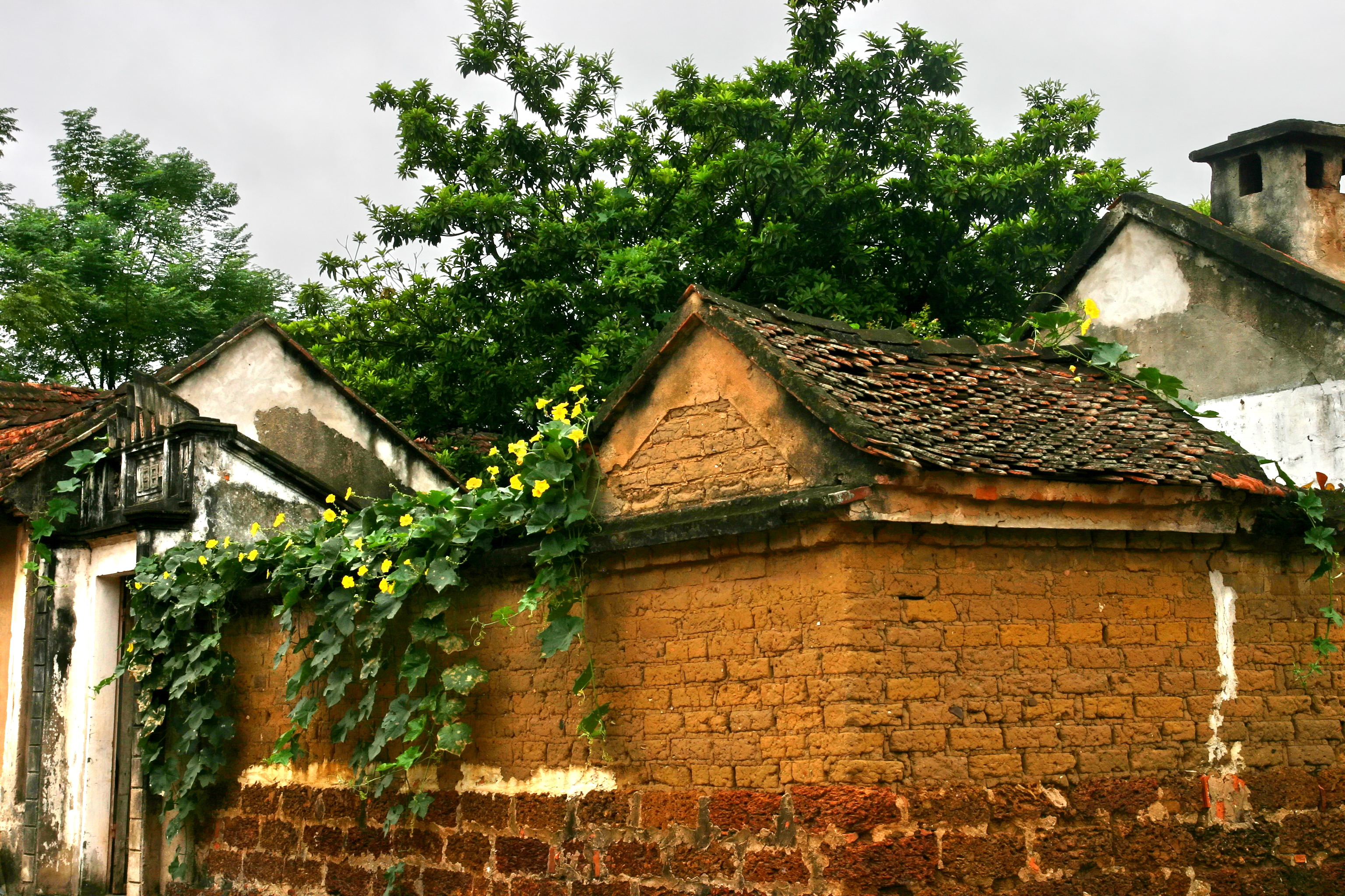 làng cổ