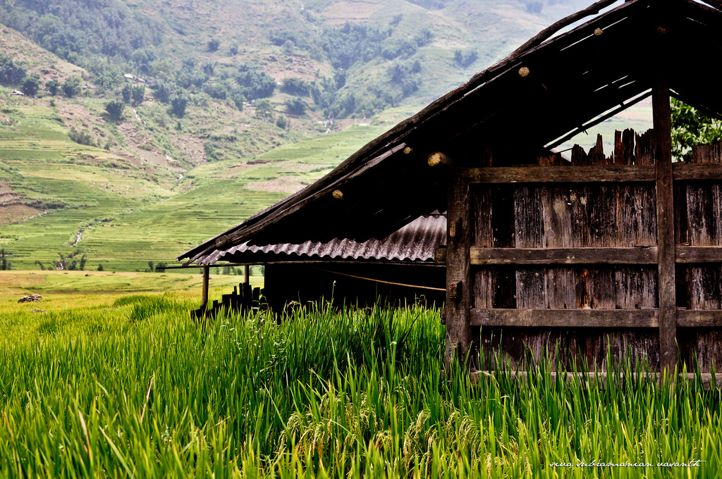 Sapa mộng mơ