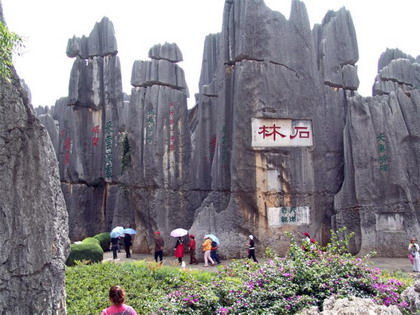 Rung da thach lam