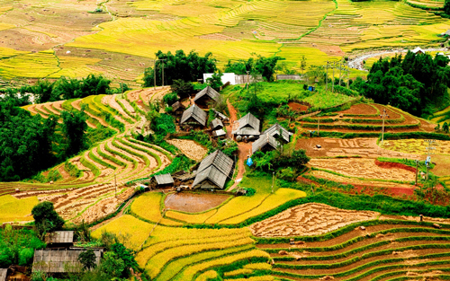 Ruộng bậc thang Sapa