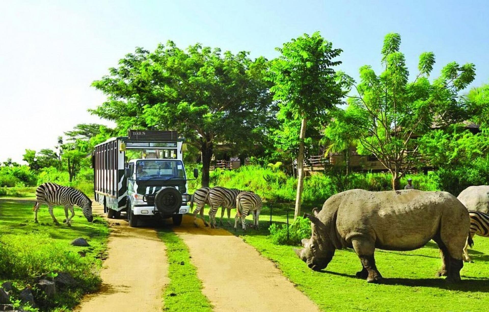 Vườn Thú Safari Word