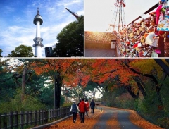 Namsan - ngọn núi tuyệt đẹp giữa trung tâm Seoul