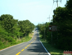 Con đường huyền bí - The Road Mystrerious