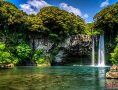 Thác nước Cheonjiyeon trên đảo Jeju - Hàn Quốc